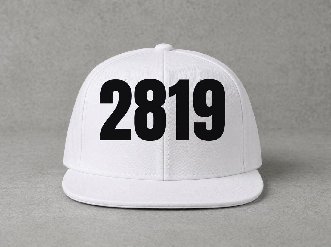 2819 Snapback